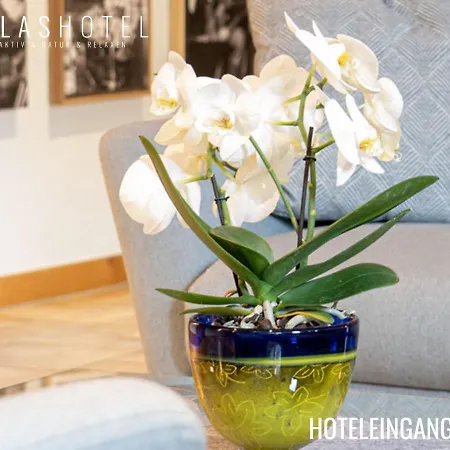 Glashotel ***s Mit Glas & Beauty & Wellness & Natur Zwiesel