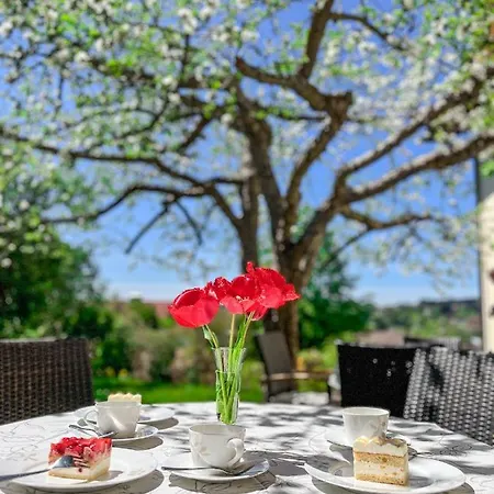 Hotel Glashotel ***s Mit Glas & Beauty & Wellness & Natur
