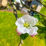 Glashotel 즈위젤
