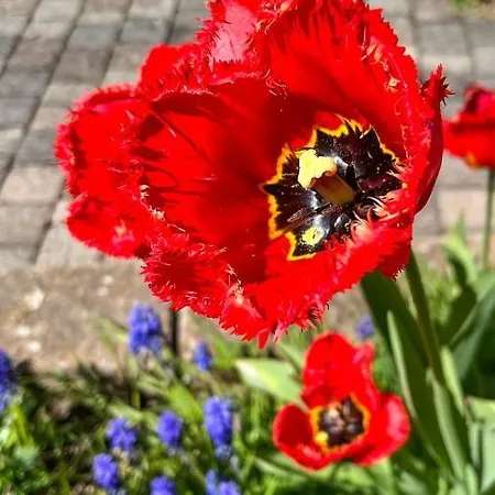 Glashotel Szálloda 4*