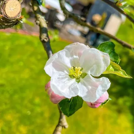 Glashotel ***s Mit Glas & Beauty & Wellness & Natur Zwiesel