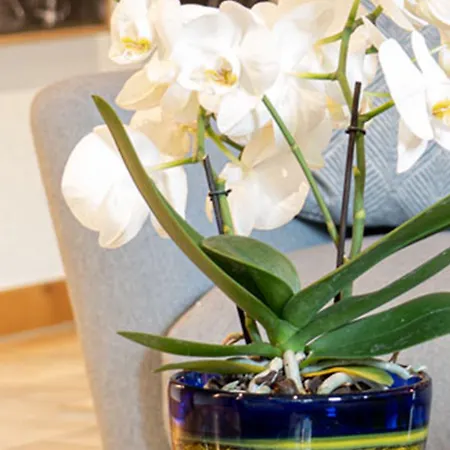 Glashotel Szálloda 4*